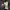 Adidas Streetwear Casual Track jacket Pria white black photo 6