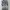 Versace Vintage Casual shirt Pria gray photo 1