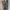 H&M Indie Vest Pria green photo 2
