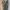 H&M Indie Vest Pria Green