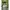 Streetwear Casual Sweater Pria green cream photo 3
