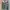Streetwear Casual Sweater Pria green cream photo 1