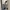 Streetwear Casual Sweater Pria green cream photo 4