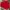 Evisu Casual Sweatshirt Pria Red