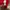 Evisu Casual Sweatshirt Pria red photo 5