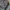Carhartt Vintage Futurist Pria silver gray photo 1
