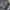 Carhartt Vintage Futurist Pria Silver Gray
