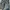 Carhartt Vintage Futurist Pria silver gray photo 2