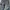 Carhartt Vintage Futurist Pria Silver Gray