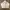 Alien Workshop Streetwear Y2K Track jacket Pria cream photo 1