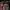 Supreme Red Camo Hooded Jacket FW19 photo 3