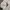 Japanese brand Fairy Coquette Blouse Wanita white cream photo 2