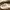 Carhartt Streetwear Sneakers Pria multicolor photo 2