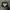 Columbia Gorpcore Windbreaker Pria black photo 5
