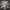 Adidas Streetwear Skater Sneakers Pria white photo 1