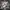 Adidas Streetwear Skater Sneakers Pria White