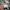 Adidas Streetwear Skater Sneakers Pria white photo 7