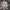 Adidas Streetwear Skater Sneakers Pria white photo 6