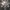 Adidas Streetwear Skater Sneakers Pria white photo 4