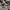 Adidas Streetwear Skater Sneakers Pria white photo 5
