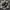 Nike Streetwear Y2K Sneakers Pria black gray photo 1