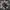 Nike Streetwear Y2K Sneakers Pria black gray photo 2