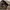Lolita Casual Shoulder bag Wanita khaki photo 4