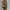 Lolita Casual Shoulder bag Wanita khaki photo 6