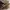 Lolita Casual Shoulder bag Wanita khaki photo 5