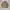Japanese brand Vintage Casual Denim jacket Pria tan photo 1