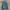Minimalist Denim jacket Pria multicolor photo 1