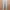 Levi's Streetwear Casual Jegging Wanita white photo 1