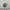 Hush Puppies Casual Crossbody Bag Wanita white photo 3