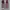 Converse Streetwear Sneakers Wanita multicolor photo 3
