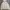 Star Wars Vintage Hoody Pria cream photo 1