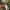 Adidas Luxury Casual Jumper Pria green photo 4