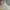 Nike Streetwear Sneakers Wanita white photo 1