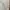 Japanese brand Luxury Babydoll dress Wanita white gray photo 3