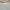 Japanese brand Luxury Babydoll dress Wanita white gray photo 2