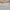 Japanese Brand Luxury Babydoll Dress Wanita White Gray