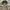 Uniqlo Streetwear Sportswear Windbreaker Pria cream photo 4