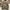 Uniqlo Streetwear Sportswear Windbreaker Pria cream photo 2