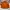 Nike Vintage Y2K Windbreaker Pria orange photo 1