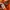 Nike Vintage Y2K Windbreaker Pria orange photo 6