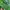 Streetwear Sportswear Windbreaker Pria green photo 5