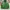 Streetwear Sportswear Windbreaker Pria green photo 1