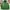 Streetwear Sportswear Windbreaker Pria Green