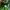 Streetwear Sportswear Windbreaker Pria green photo 6
