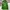 Streetwear Sportswear Windbreaker Pria green photo 3