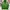 Streetwear Sportswear Windbreaker Pria green photo 2